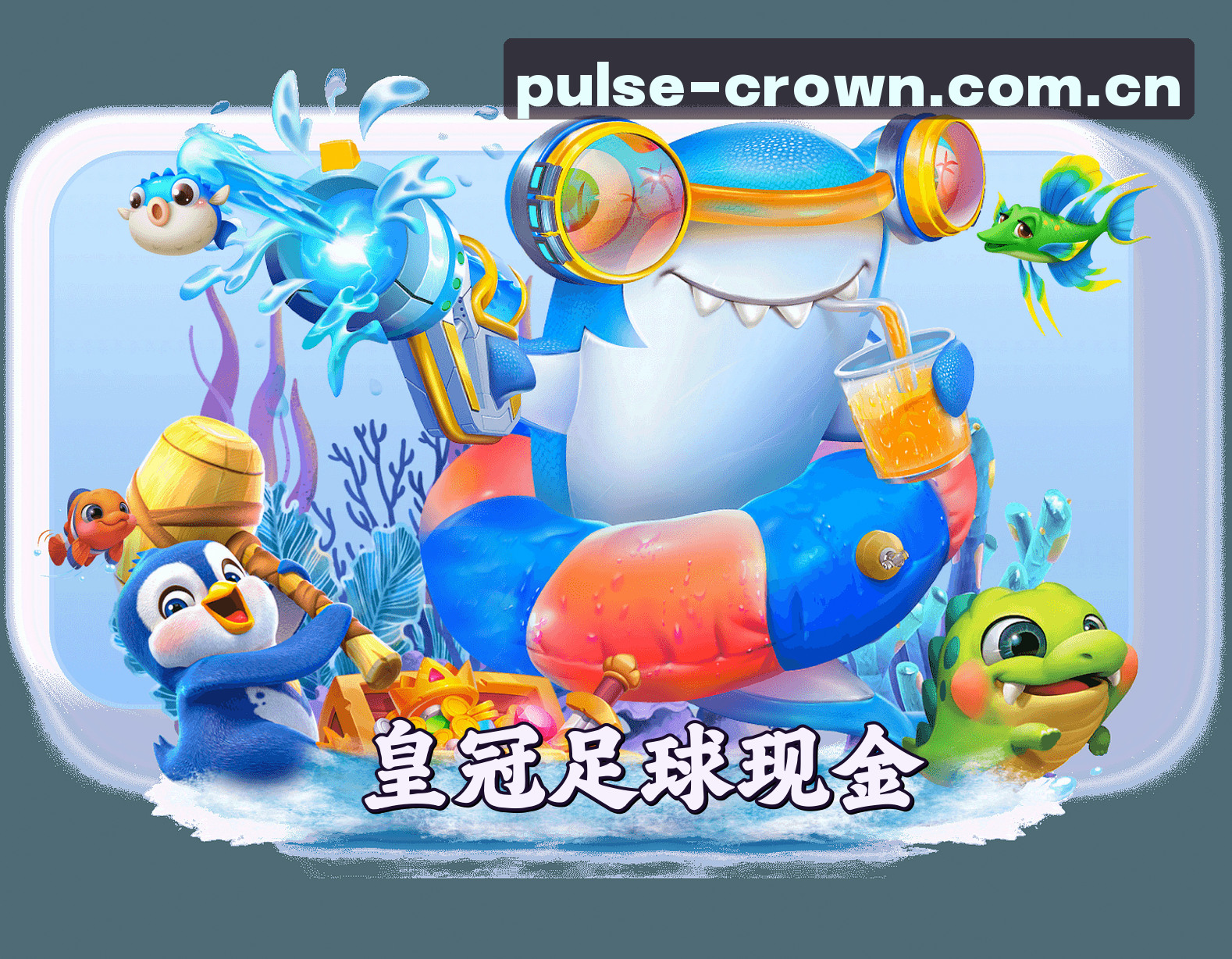 关于我们